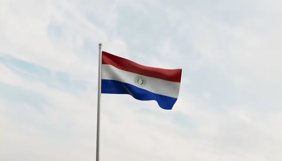 Paraguay aus Sicht des B2B-Käufers