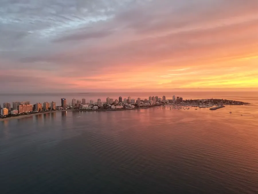 Uruguay desde la perspectiva del comprador B2B