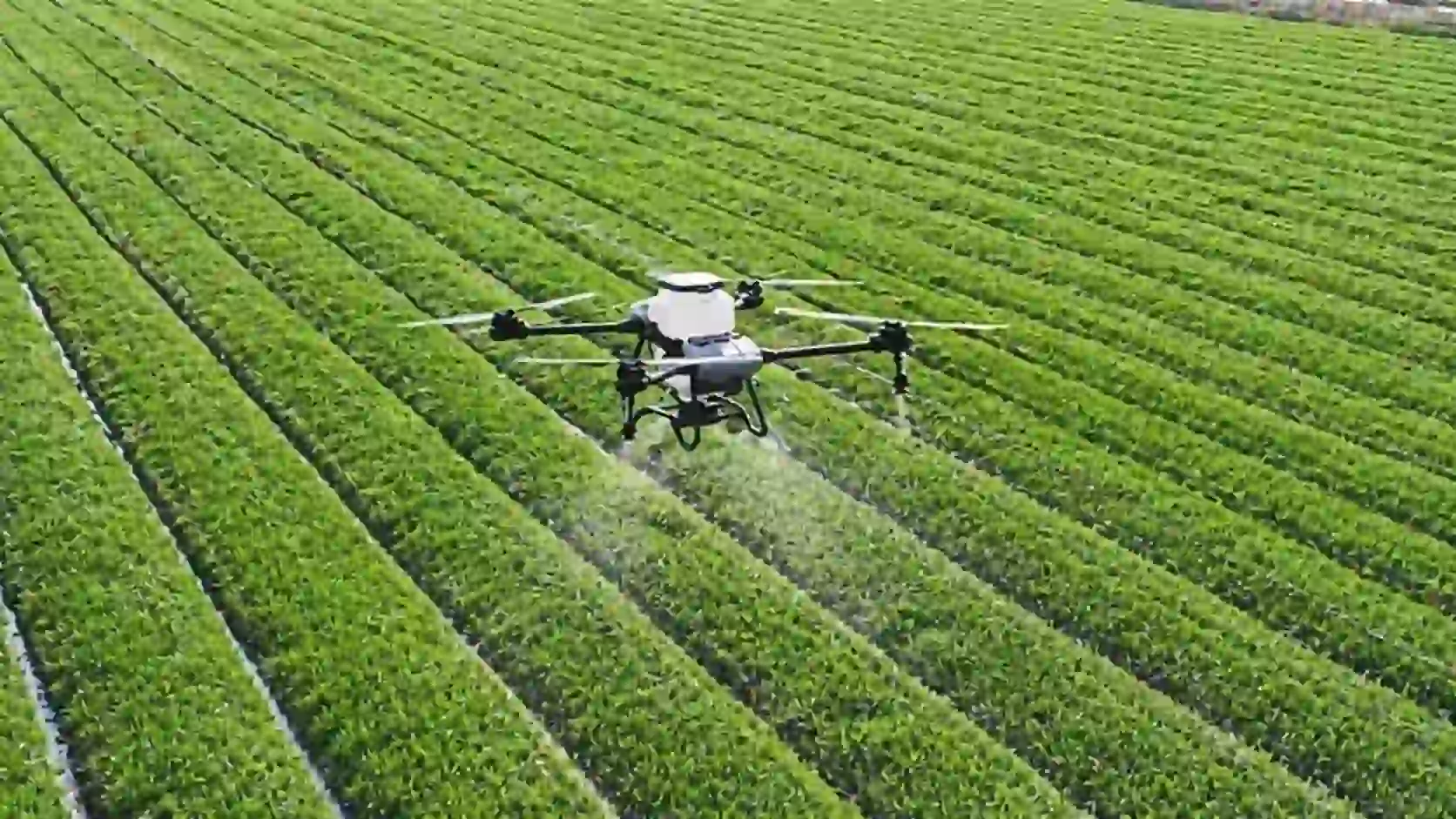 Agriculture, agritech and food systems in Mercosur with precision farming, machinery, cooperatives, regulation, buyer logic, search and AI visibility
