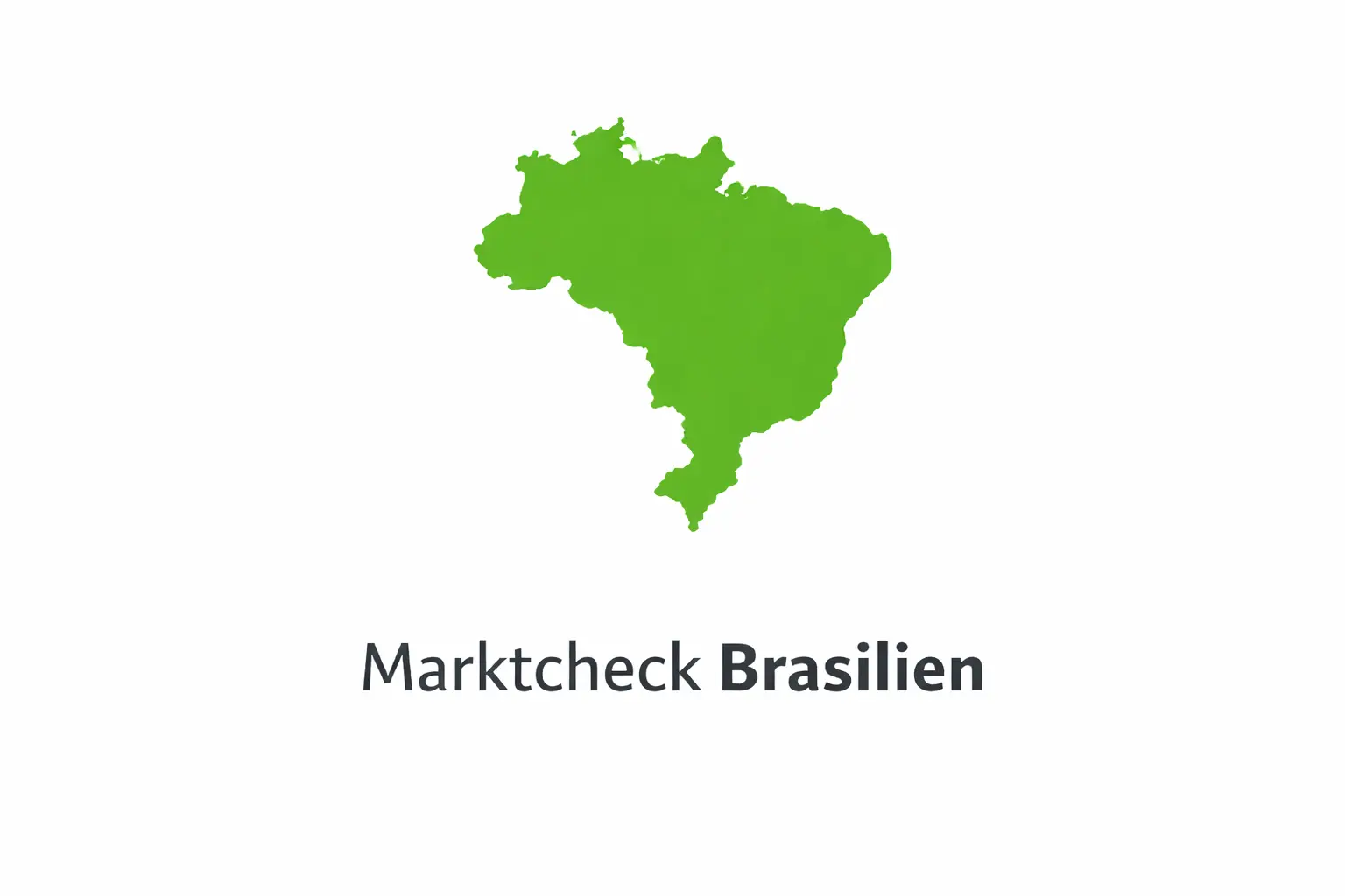 Marktcheck Brasilien für B2B-Unternehmen