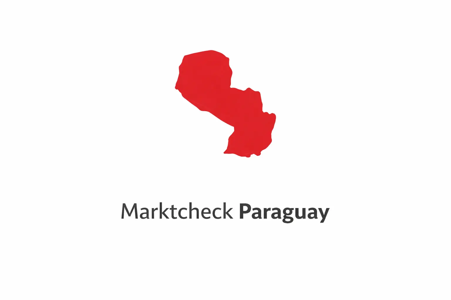 Marktcheck Paraguay für B2B-Unternehmen