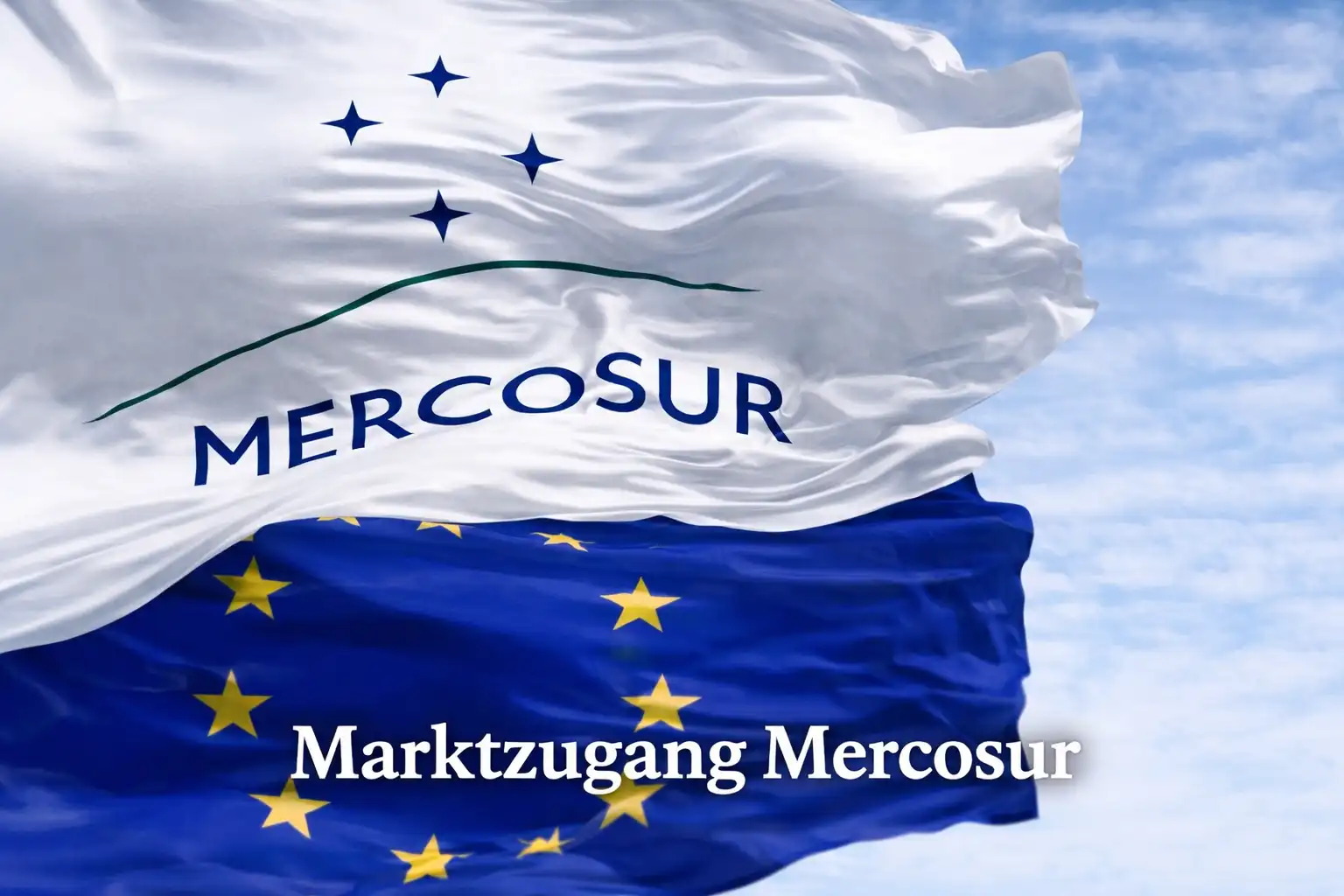Mercosur Marktzugang mit Partneranalyse, Distributoren, Abnehmern, Importeuren, Lieferanten und lokaler Geschäftsanbahnung