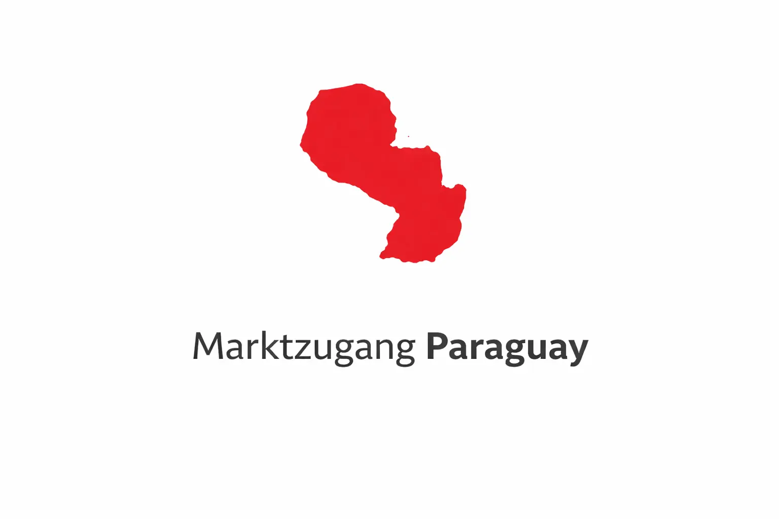 Marktzugang Paraguay für B2B-Unternehmen