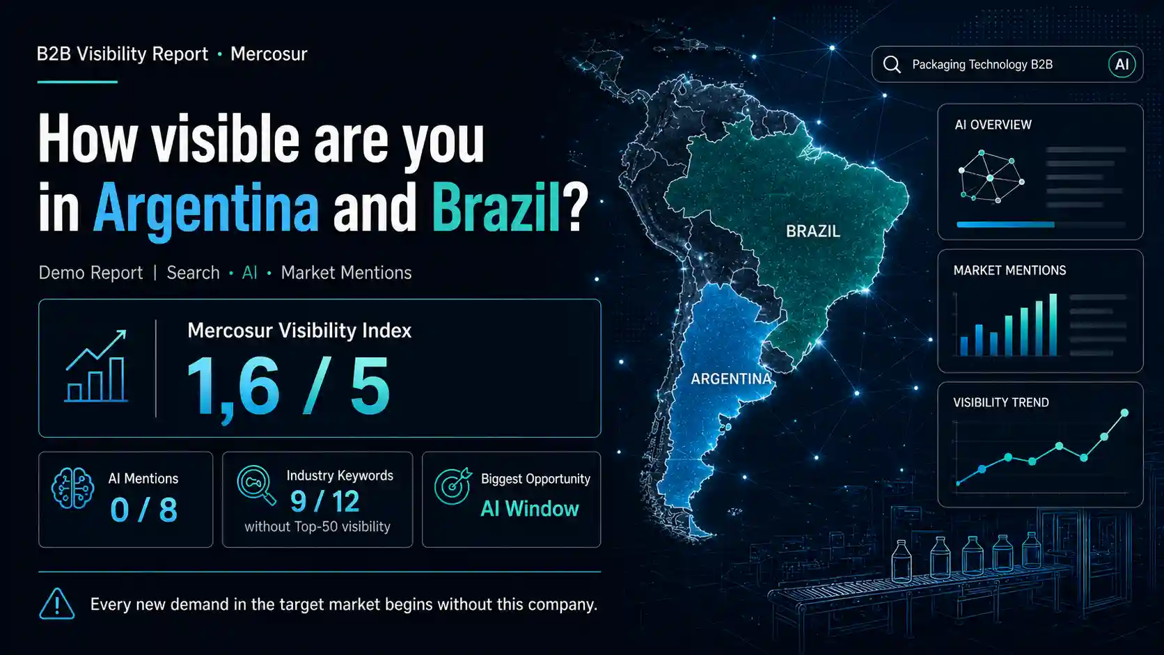 B2B Visibility Report Demo for Mercosur