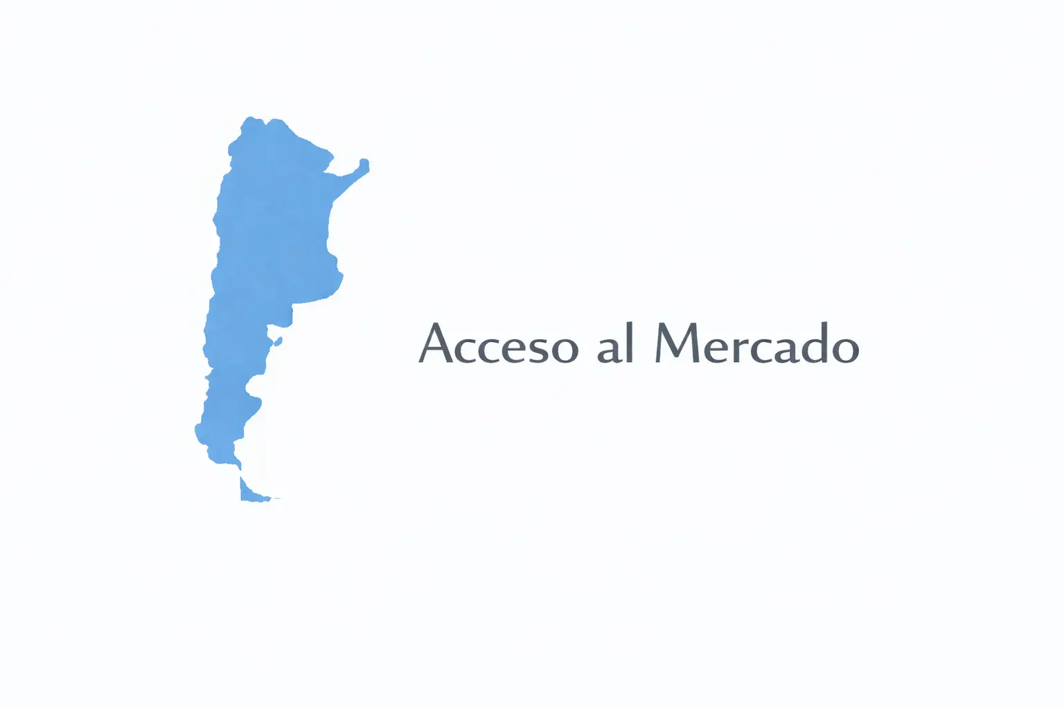 Acceso al mercado argentino para empresas B2B