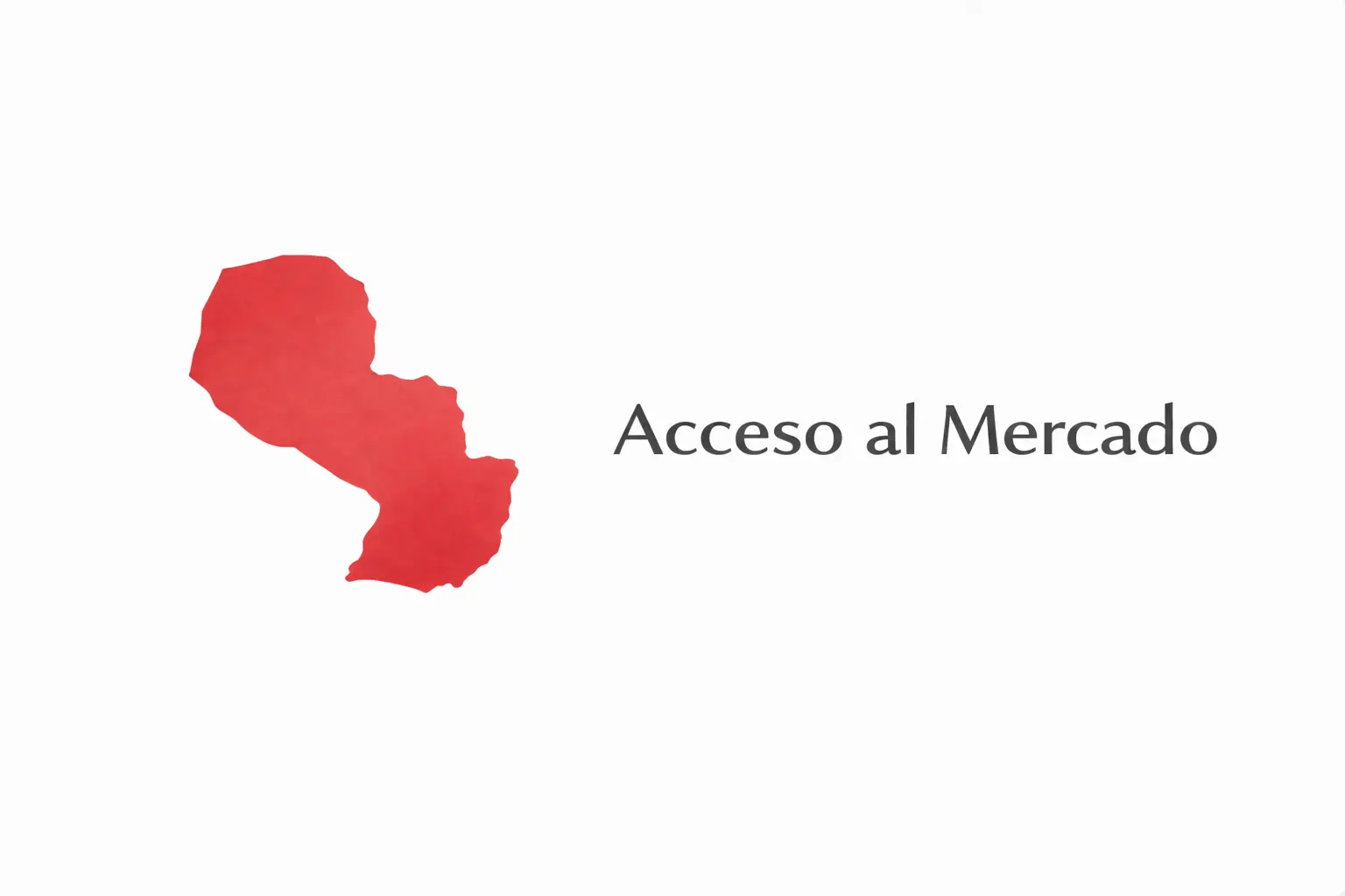 Acceso al mercado paraguayo — Mercosur