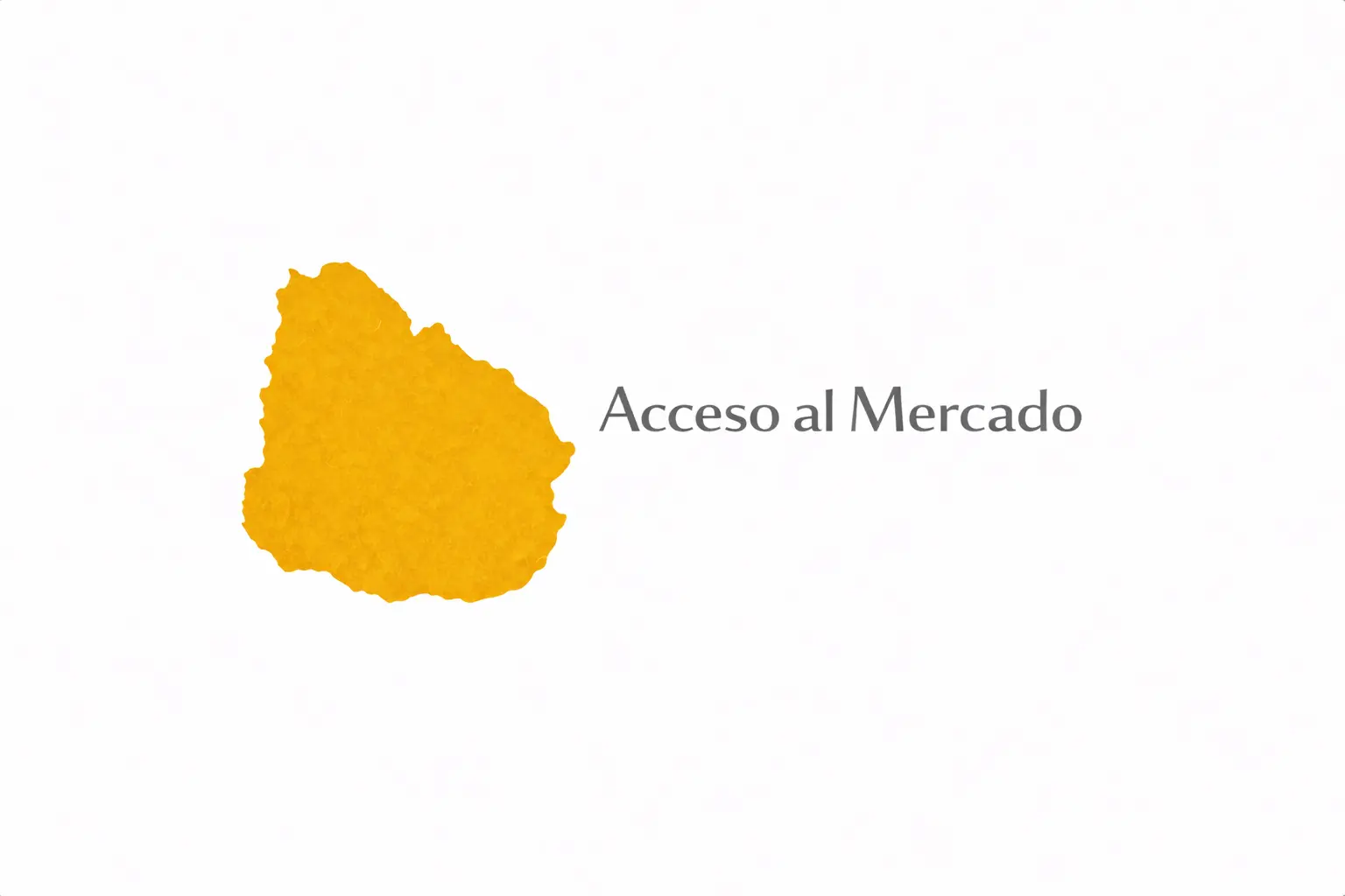 Acceso al mercado uruguayo — Mercosur