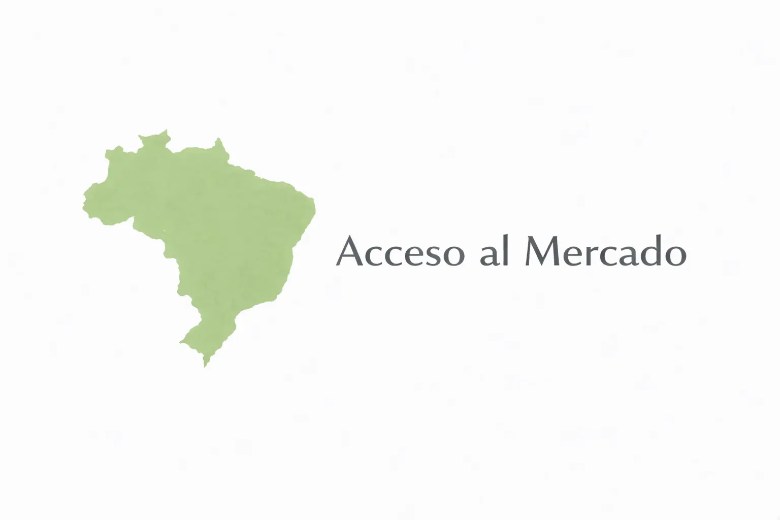 Acceso al mercado brasileño para empresas B2B